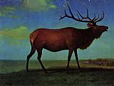 Albert Bierstadt Famous Paintings - Elk